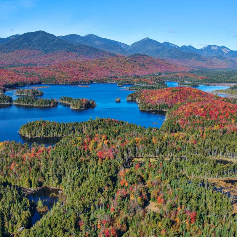 Boreas Ponds Land Tract, Photo Courtesy of Carl Heilman 