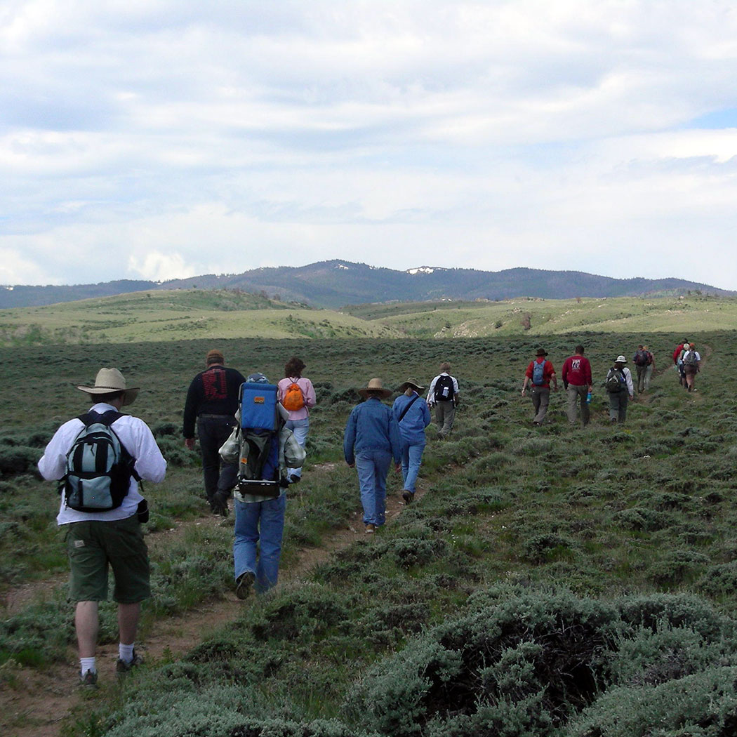 hikers